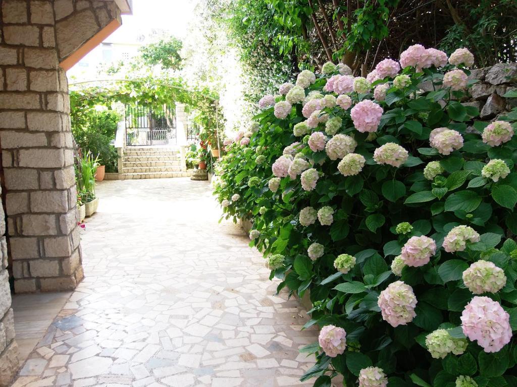 Apartments Beba Mali Lošinj Rum bild