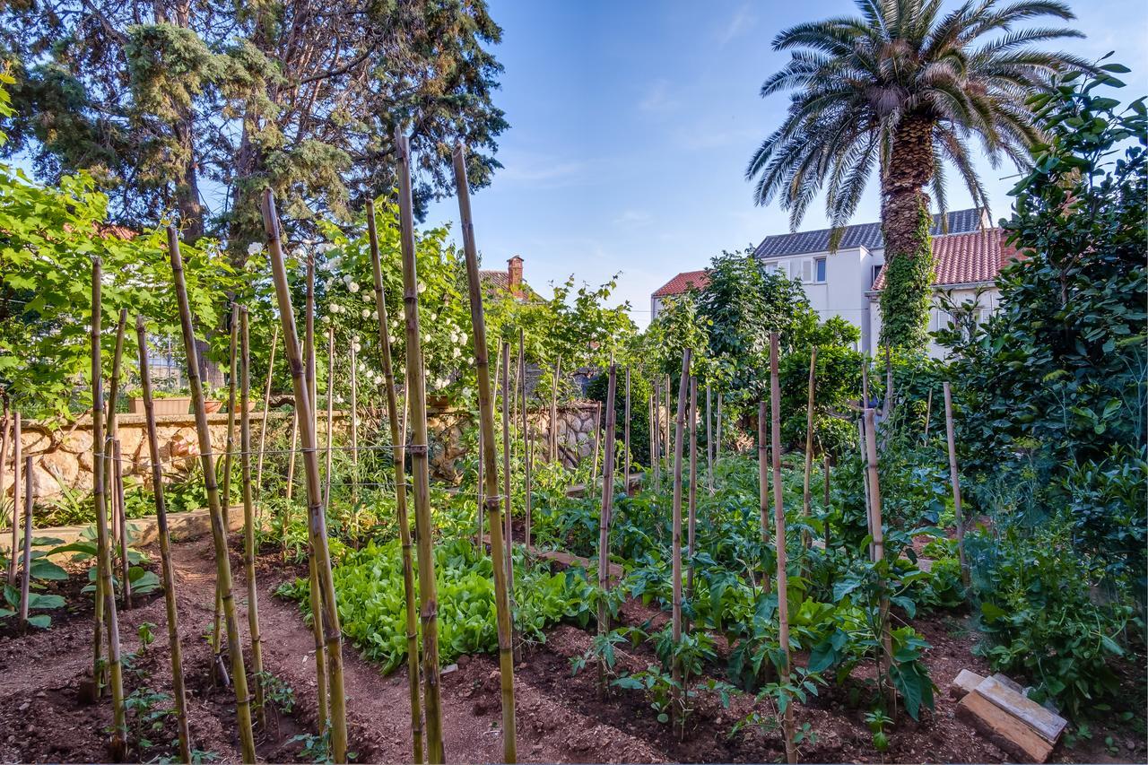 Apartments Beba Mali Lošinj Exteriör bild